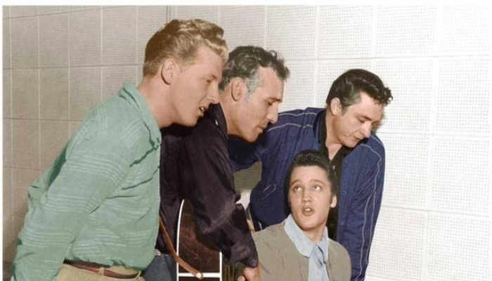 From Stage to Fortune: How Singers Built Multi-Million Dollar Empires